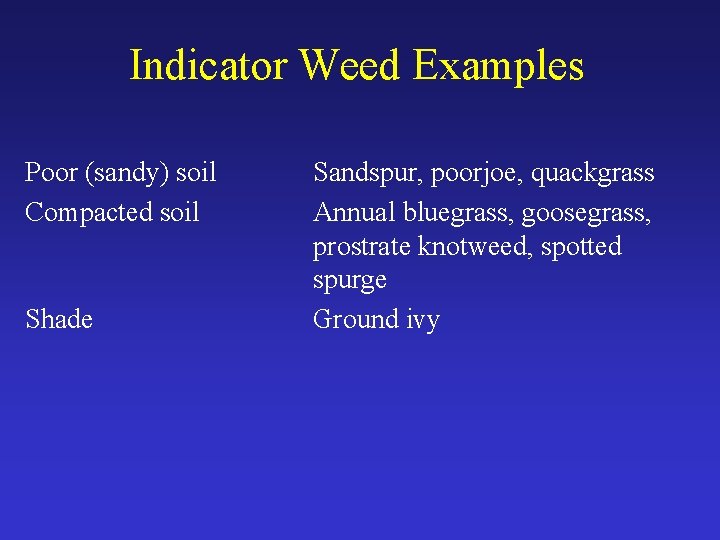 Indicator Weed Examples Poor (sandy) soil Compacted soil Shade Sandspur, poorjoe, quackgrass Annual bluegrass,