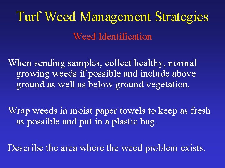 Turf Weed Management Strategies Weed Identification When sending samples, collect healthy, normal growing weeds