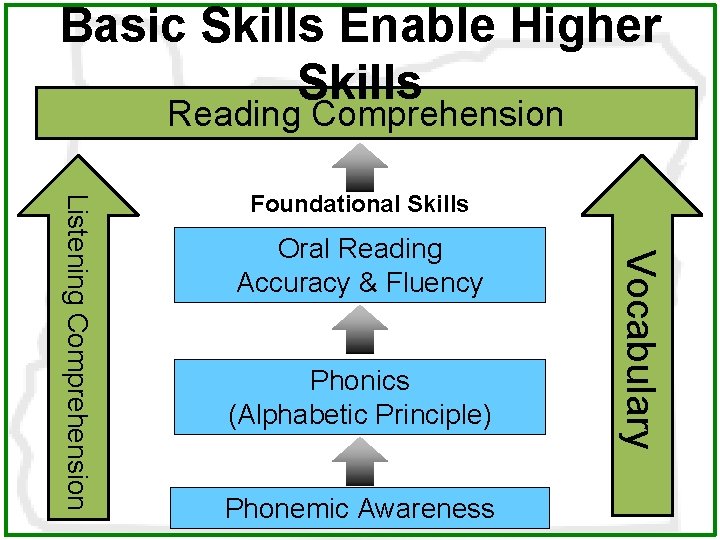 Basic Skills Enable Higher Skills Reading Comprehension Oral Reading Accuracy & Fluency Phonics (Alphabetic