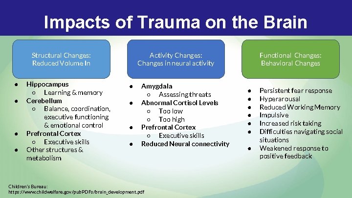 Impacts of Trauma on the Brain Structural Changes: Reduced Volume In ● ● Hippocampus Impacts of Trauma on the Brain Structural Changes: Reduced Volume In ● ● Hippocampus