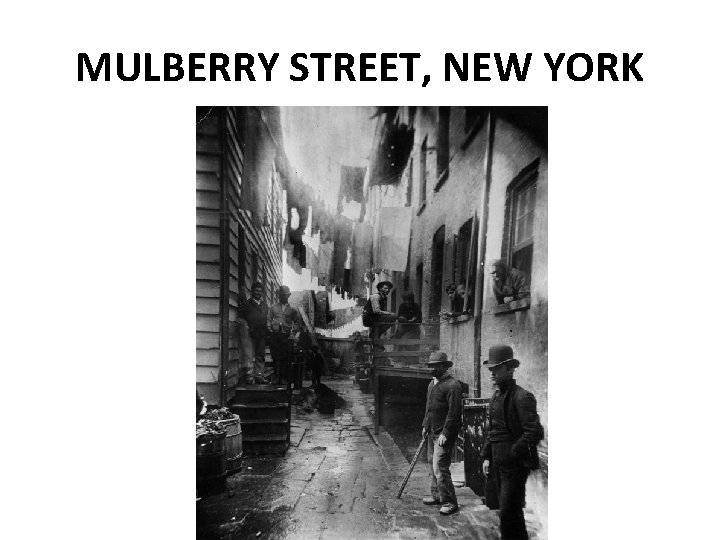 MULBERRY STREET, NEW YORK 
