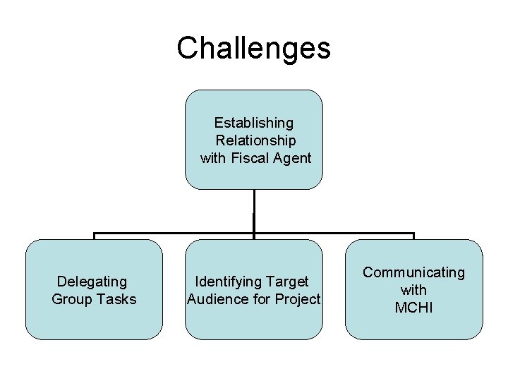 Challenges Establishing Relationship with Fiscal Agent Delegating Group Tasks Identifying Target Audience for Project