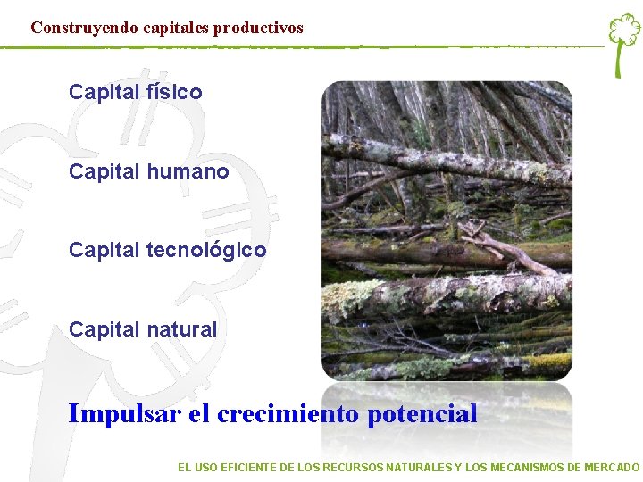 Construyendo capitales productivos Capital físico Capital humano Capital tecnológico Capital natural Impulsar el crecimiento Construyendo capitales productivos Capital físico Capital humano Capital tecnológico Capital natural Impulsar el crecimiento
