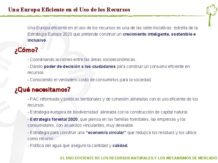 Una Europa Eficiente en el Uso de los Recursos Una Europa eficiente en el Una Europa Eficiente en el Uso de los Recursos Una Europa eficiente en el