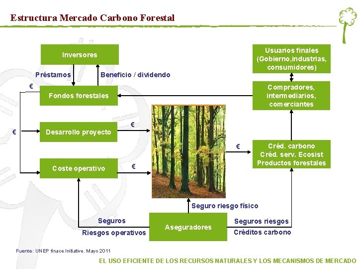 Estructura Mercado Carbono Forestal Usuarios finales (Gobierno, industrias, consumidores) Inversores Préstamos Beneficio / dividendo Estructura Mercado Carbono Forestal Usuarios finales (Gobierno, industrias, consumidores) Inversores Préstamos Beneficio / dividendo
