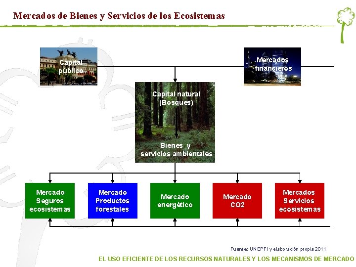 Mercados de Bienes y Servicios de los Ecosistemas Mercados financieros Capital público Capital natural Mercados de Bienes y Servicios de los Ecosistemas Mercados financieros Capital público Capital natural