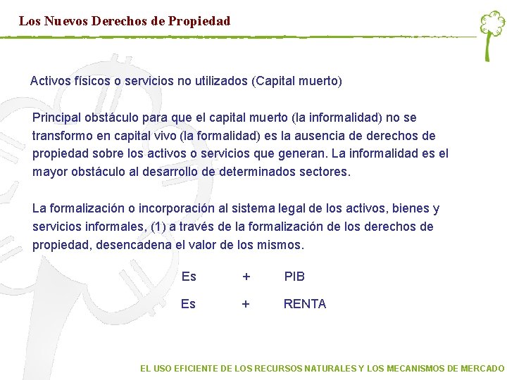 Los Nuevos Derechos de Propiedad Activos físicos o servicios no utilizados (Capital muerto) Principal Los Nuevos Derechos de Propiedad Activos físicos o servicios no utilizados (Capital muerto) Principal