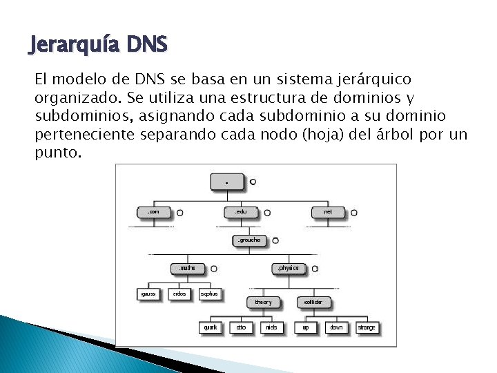 Jerarquía DNS El modelo de DNS se basa en un sistema jerárquico organizado. Se