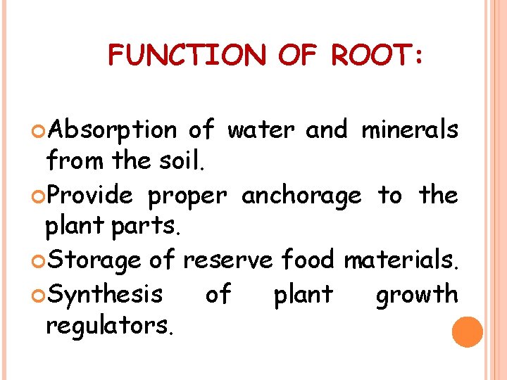 FUNCTION OF ROOT: Absorption of water and minerals from the soil. Provide proper anchorage