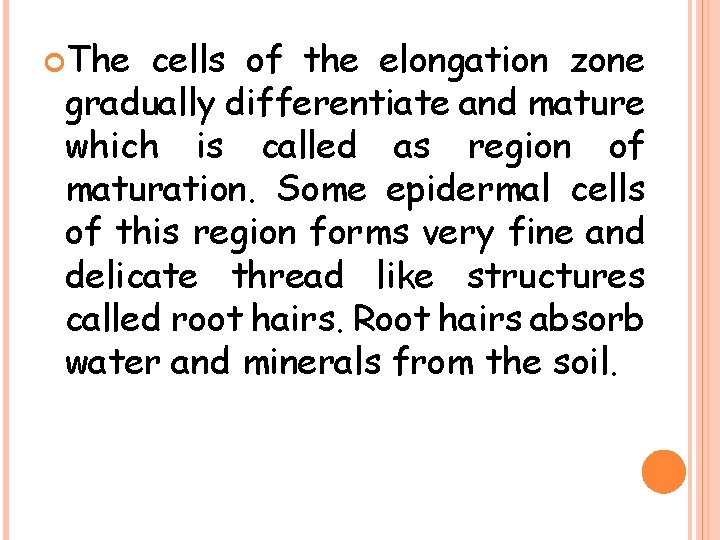  The cells of the elongation zone gradually differentiate and mature which is called
