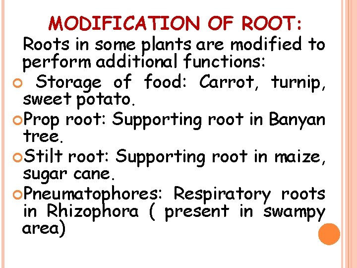 MODIFICATION OF ROOT: Roots in some plants are modified to perform additional functions: Storage