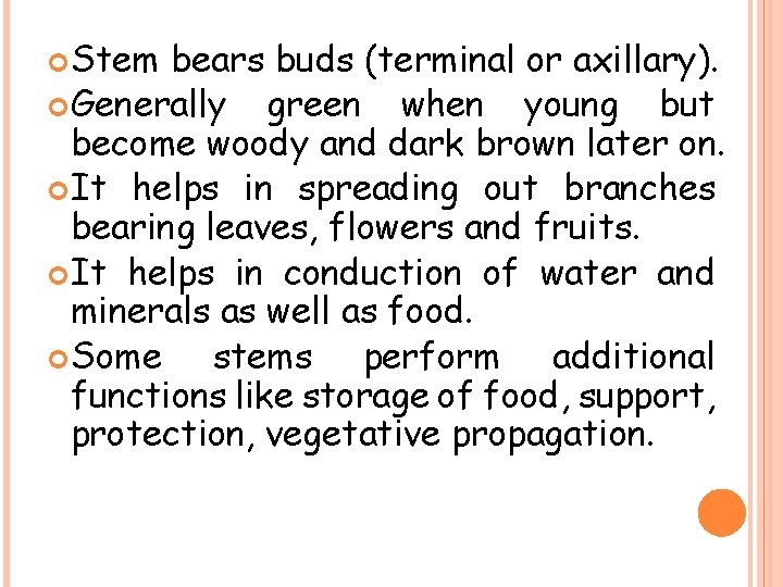  Stem bears buds (terminal or axillary). Generally green when young but become woody