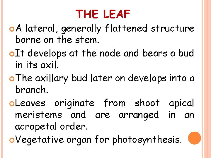  A THE LEAF lateral, generally flattened structure borne on the stem. It develops