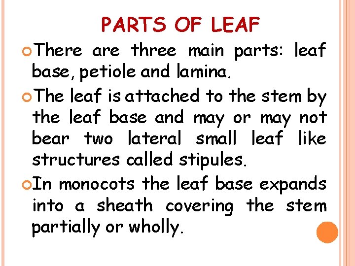  There PARTS OF LEAF are three main parts: leaf base, petiole and lamina.