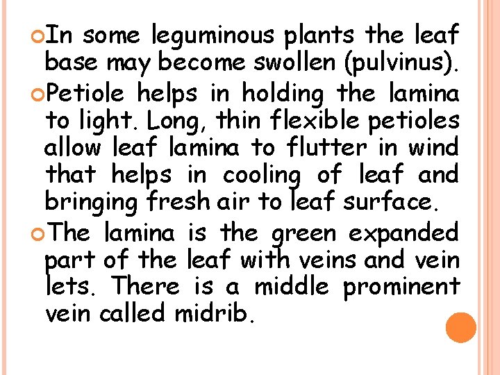  In some leguminous plants the leaf base may become swollen (pulvinus). Petiole helps