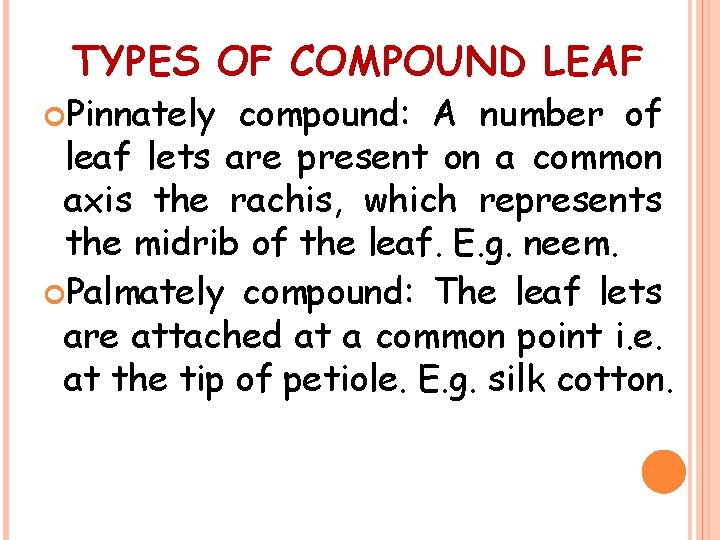 TYPES OF COMPOUND LEAF Pinnately compound: A number of leaf lets are present on