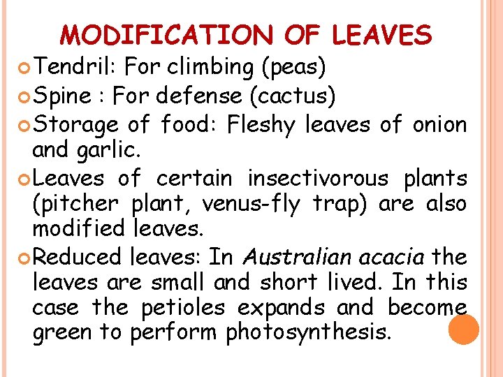 MODIFICATION OF LEAVES Tendril: For climbing (peas) Spine : For defense (cactus) Storage of