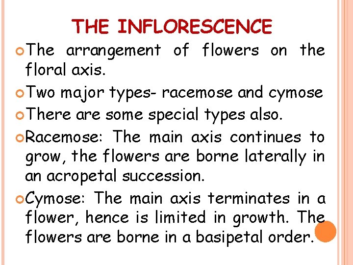  The THE INFLORESCENCE arrangement of flowers on the floral axis. Two major types-