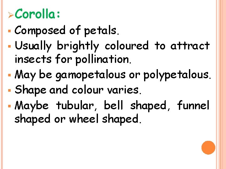 ØCorolla: Composed of petals. § Usually brightly coloured to attract insects for pollination. §