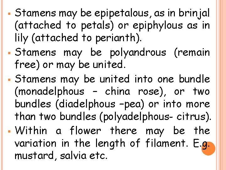 § § Stamens may be epipetalous, as in brinjal (attached to petals) or epiphylous
