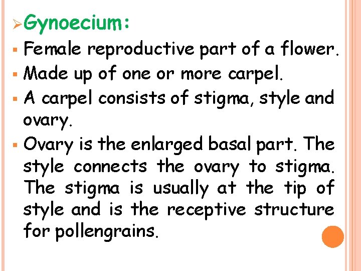 ØGynoecium: Female reproductive part of a flower. § Made up of one or more