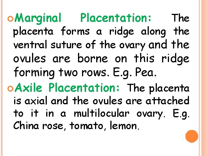  Marginal Placentation: The placenta forms a ridge along the ventral suture of the
