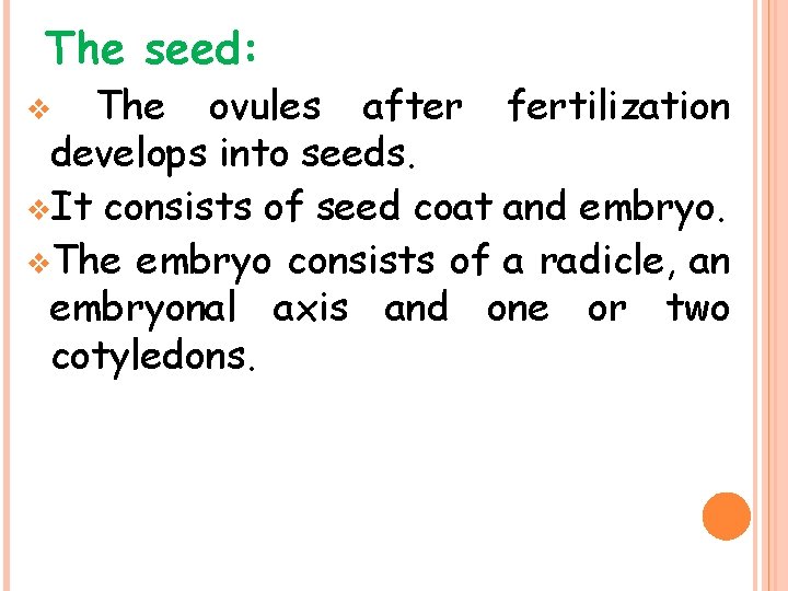 The seed: The ovules after fertilization develops into seeds. v. It consists of seed
