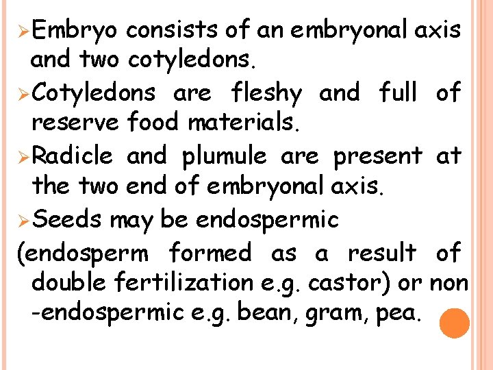 Ø Embryo consists of an embryonal axis and two cotyledons. Ø Cotyledons are fleshy