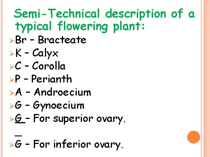 Semi-Technical description of a typical flowering plant: Ø Br – Bracteate Ø K –