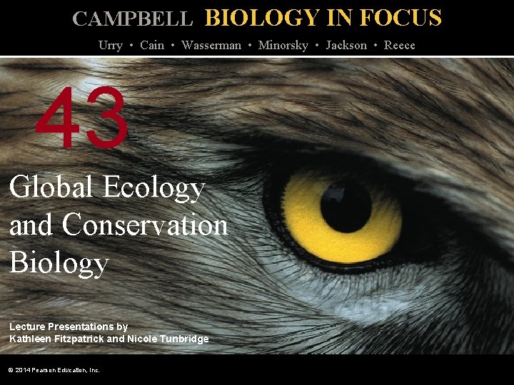 CAMPBELL BIOLOGY IN FOCUS Urry • Cain • Wasserman • Minorsky • Jackson •