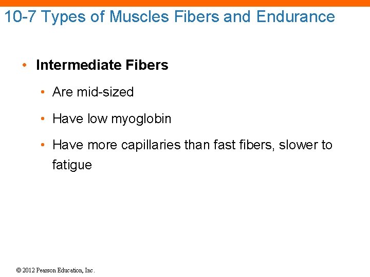 10 -7 Types of Muscles Fibers and Endurance • Intermediate Fibers • Are mid-sized