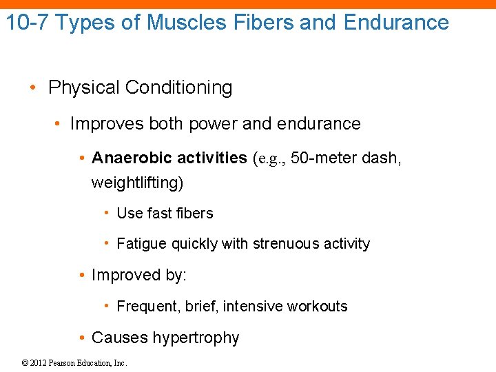10 -7 Types of Muscles Fibers and Endurance • Physical Conditioning • Improves both