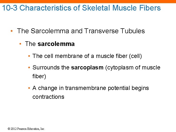10 -3 Characteristics of Skeletal Muscle Fibers • The Sarcolemma and Transverse Tubules •