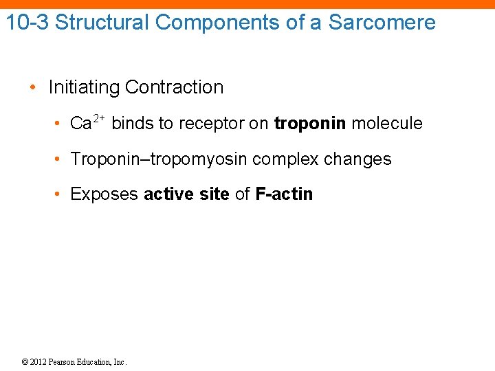 10 -3 Structural Components of a Sarcomere • Initiating Contraction • Ca 2+ binds