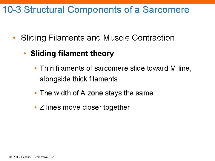 10 -3 Structural Components of a Sarcomere • Sliding Filaments and Muscle Contraction •