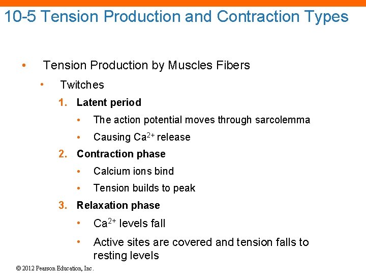 10 -5 Tension Production and Contraction Types • Tension Production by Muscles Fibers •