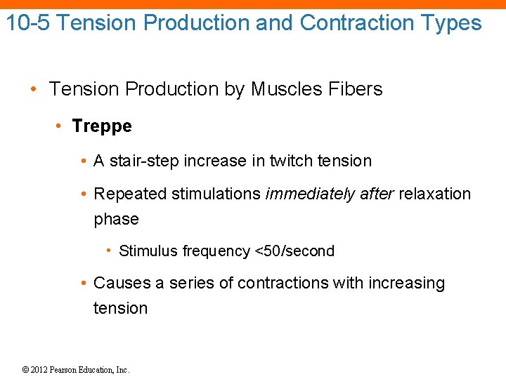 10 -5 Tension Production and Contraction Types • Tension Production by Muscles Fibers •