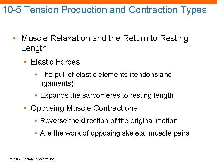 10 -5 Tension Production and Contraction Types • Muscle Relaxation and the Return to