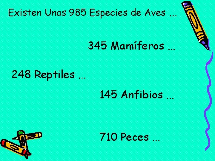 Existen Unas 985 Especies de Aves. . . 345 Mamíferos. . . 248 Reptiles. Existen Unas 985 Especies de Aves. . . 345 Mamíferos. . . 248 Reptiles.