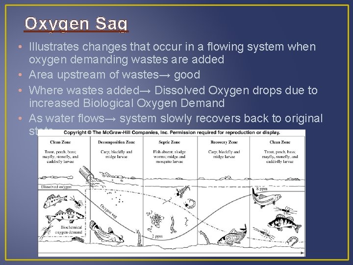 Oxygen Sag • Illustrates changes that occur in a flowing system when oxygen demanding