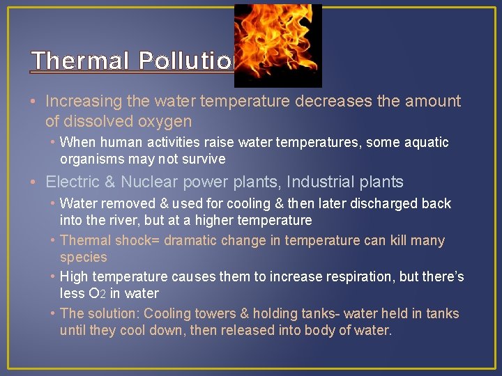 Thermal Pollution • Increasing the water temperature decreases the amount of dissolved oxygen •