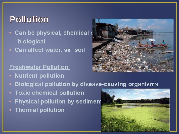 Pollution • Can be physical, chemical or biological • Can affect water, air, soil