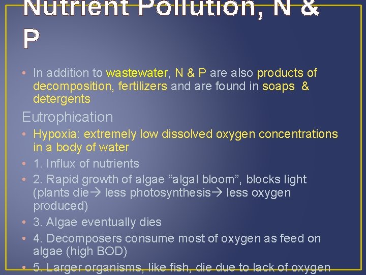 Nutrient Pollution, N & P • In addition to wastewater, N & P are