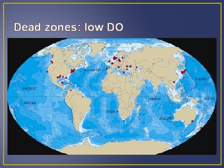 Dead zones: low DO 
