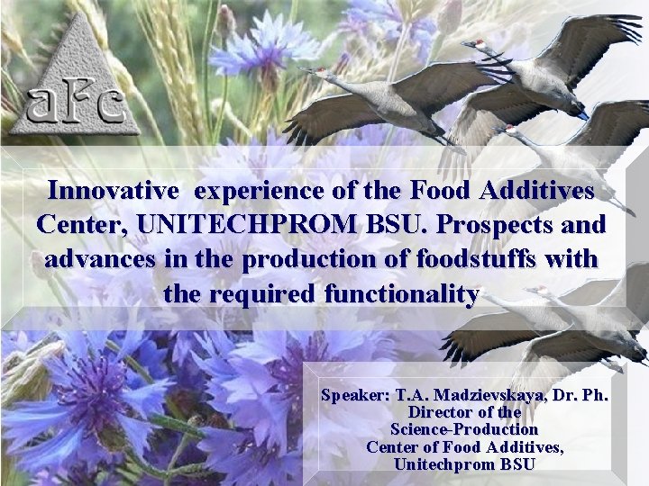 Innovative experience of the Food Additives Center, UNITECHPROM BSU. Prospects and advances in the