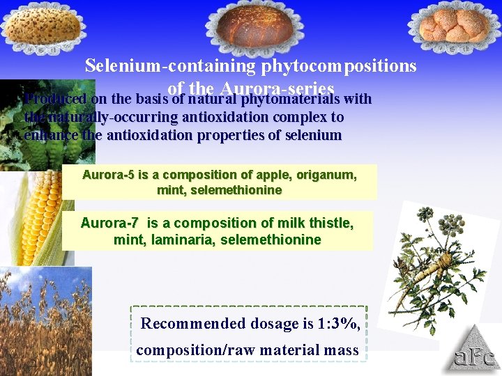 Selenium-containing phytocompositions of the Aurora-series Produced on the basis of natural phytomaterials with the