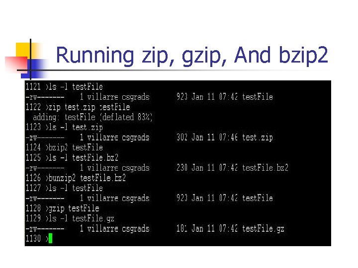 Running zip, gzip, And bzip 2 
