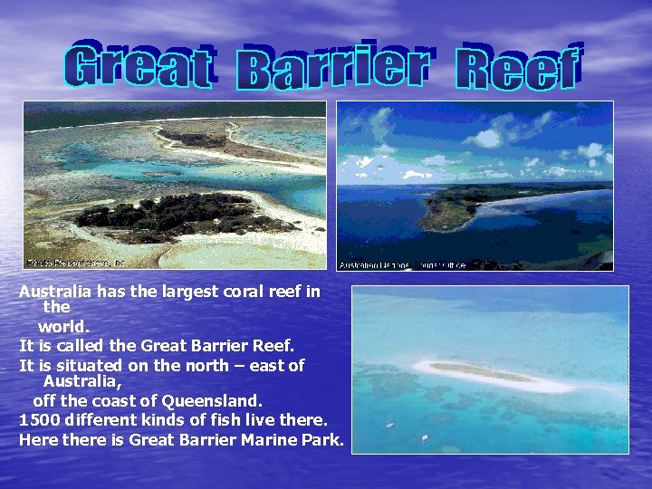 Australia has the largest coral reef in the world. It is called the Great