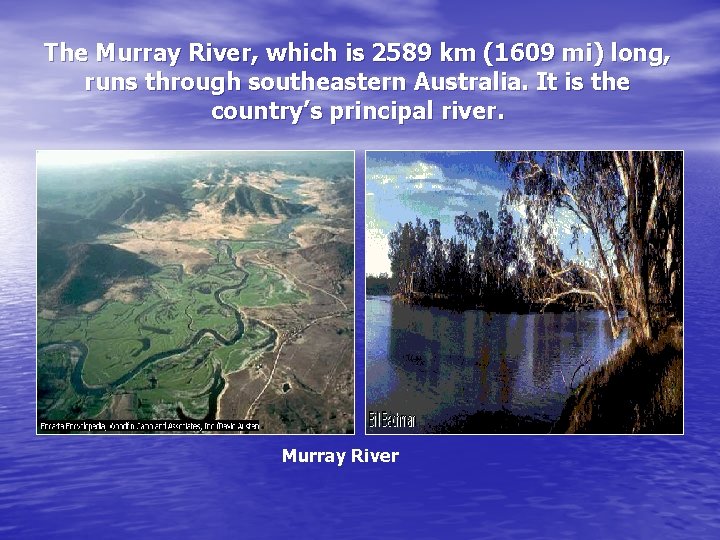 The Murray River, which is 2589 km (1609 mi) long, runs through southeastern Australia.