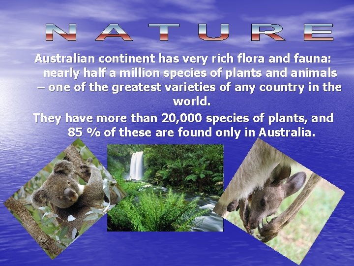 Australian continent has very rich flora and fauna: nearly half a million species of